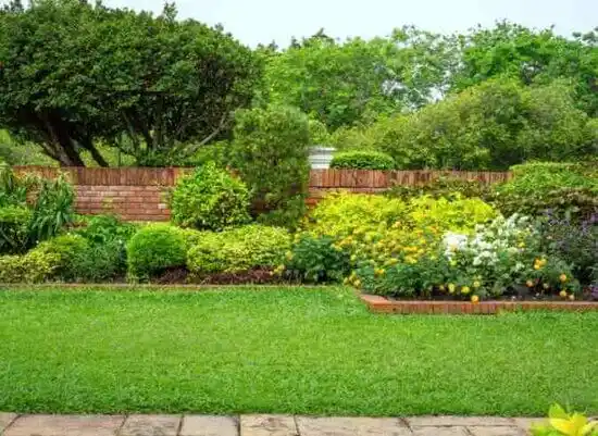 landscaping services Panther Valley